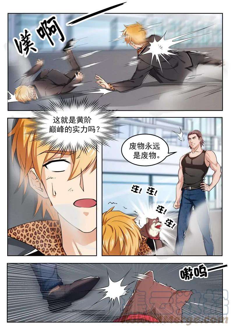 7.jpg