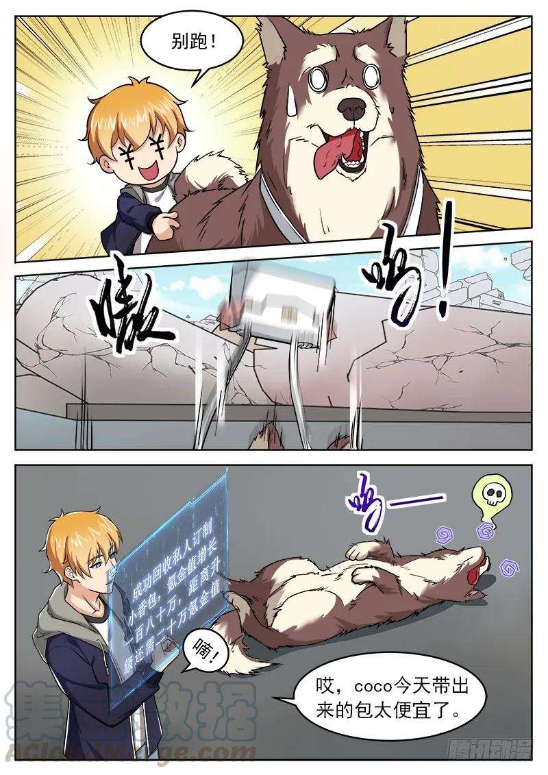 3.jpg