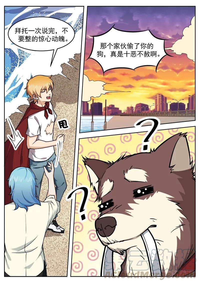 11.jpg