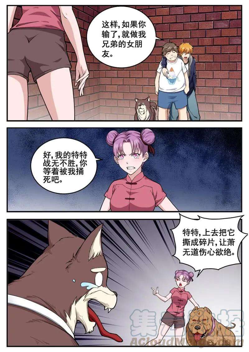 7.jpg