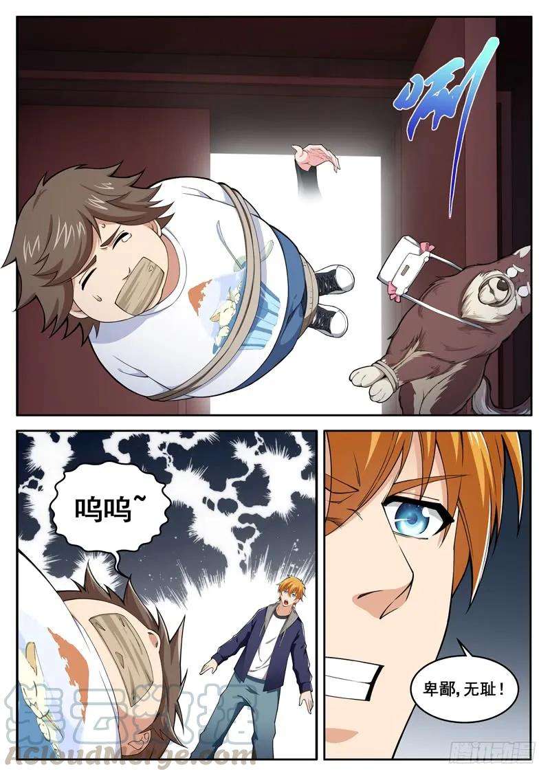 11.jpg