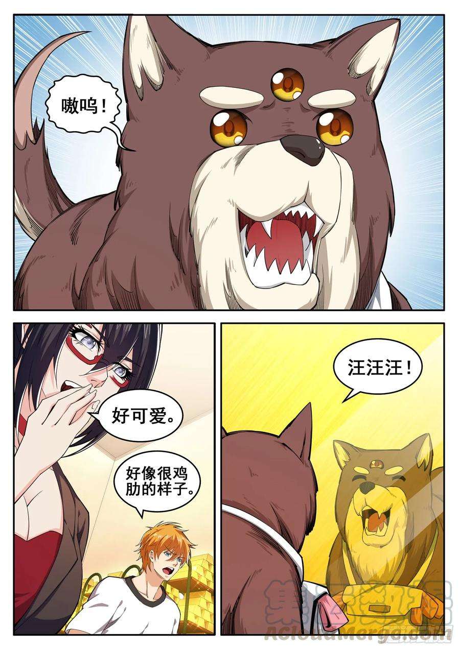 5.jpg