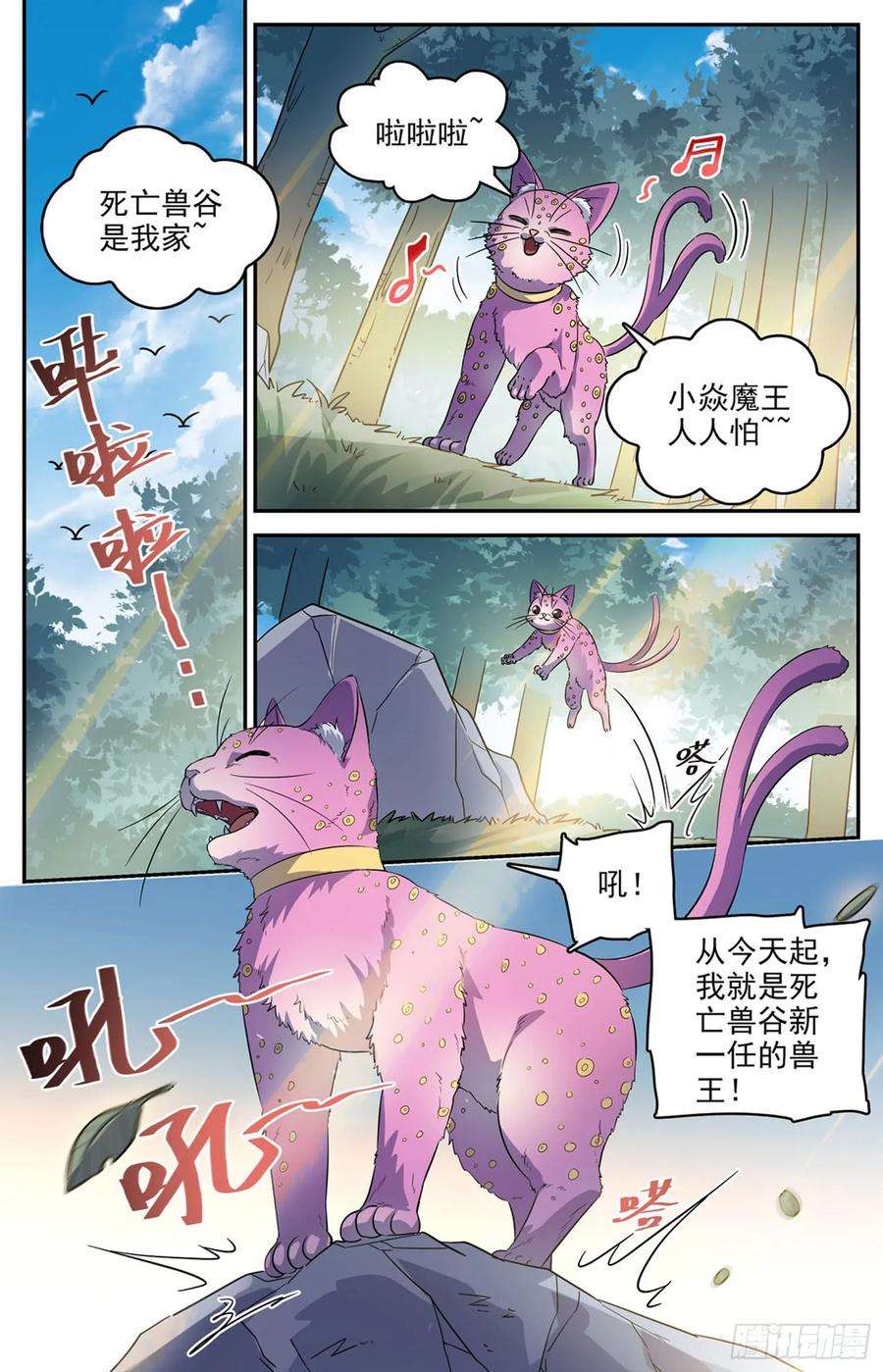 6.jpg