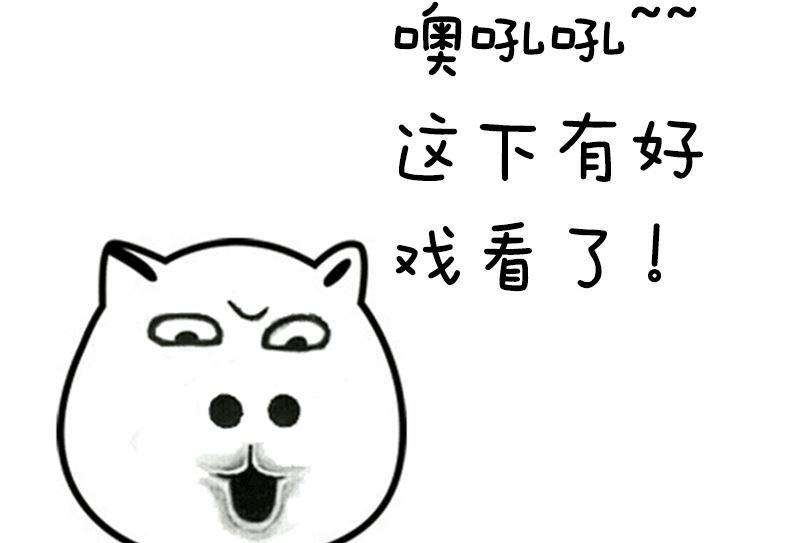 46.jpg