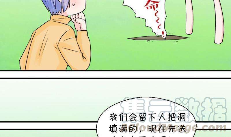 31.jpg