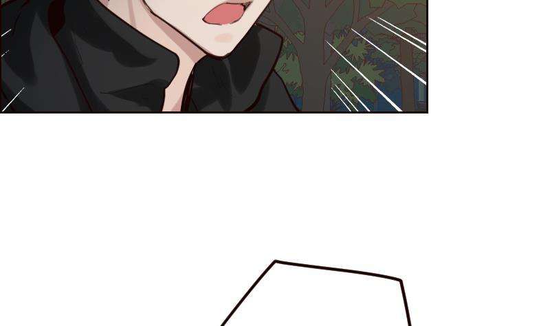 53.jpg