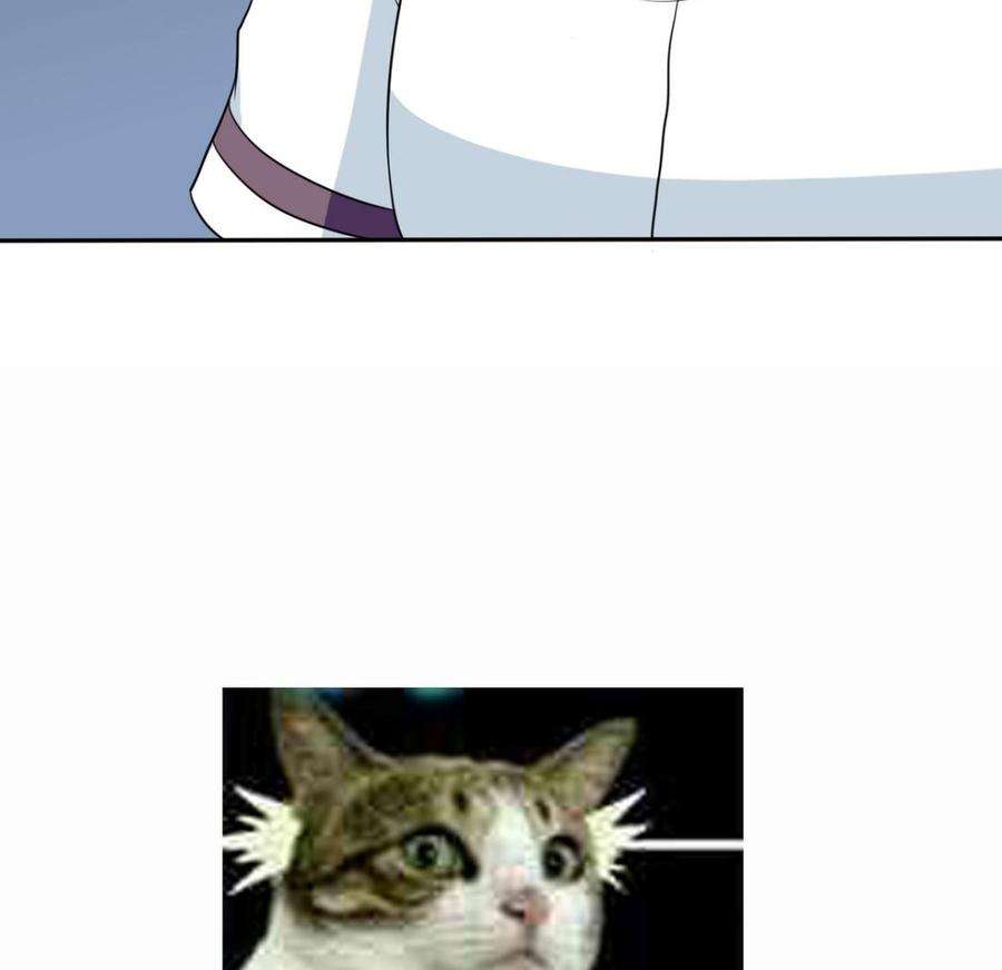 48.jpg