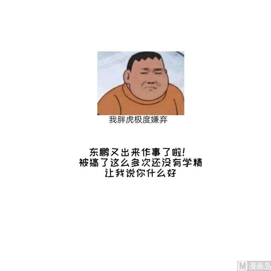 48.jpg