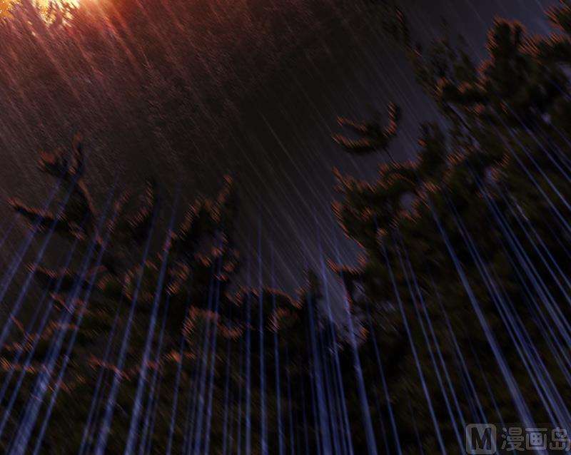 50.jpg