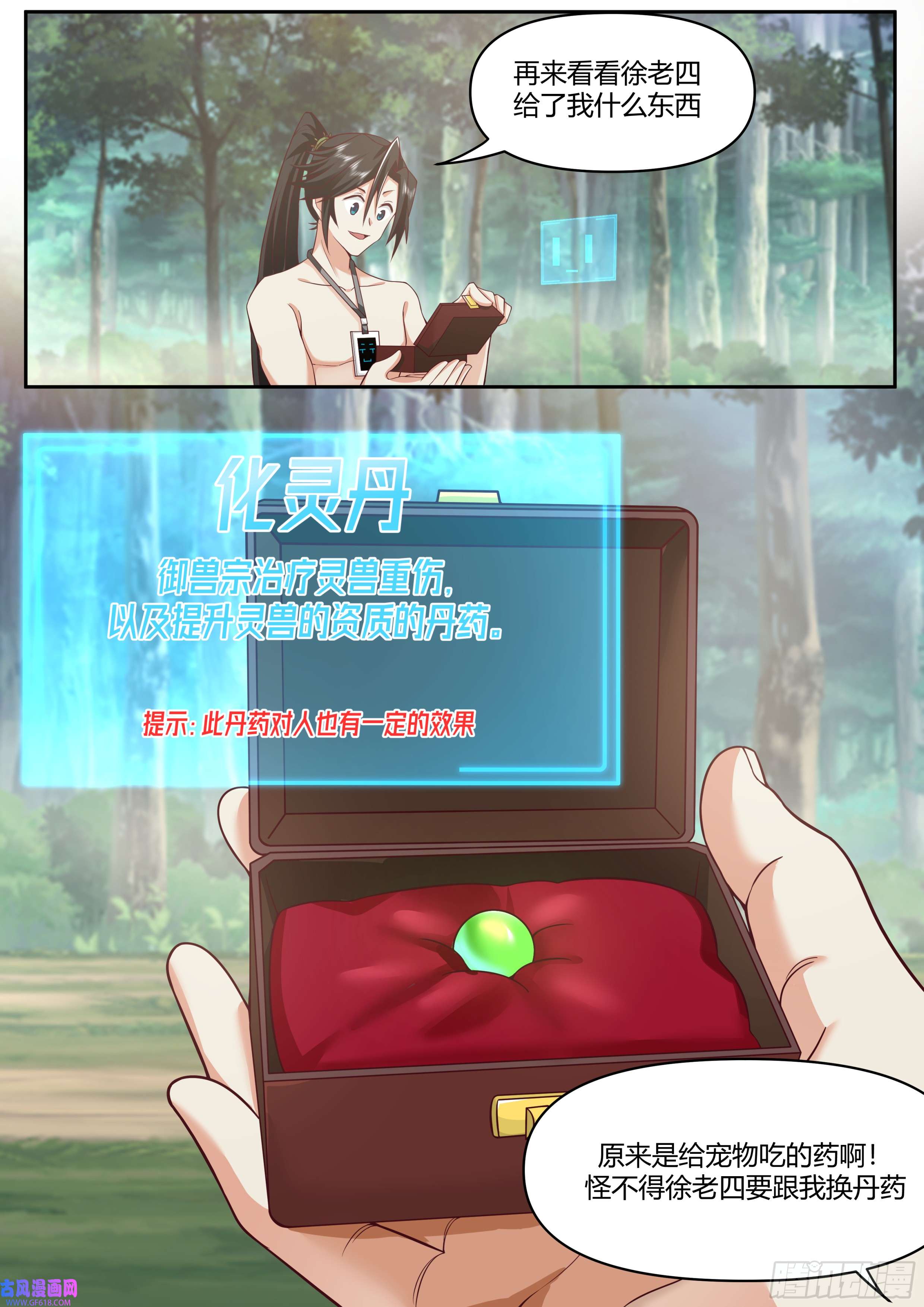 12.jpg