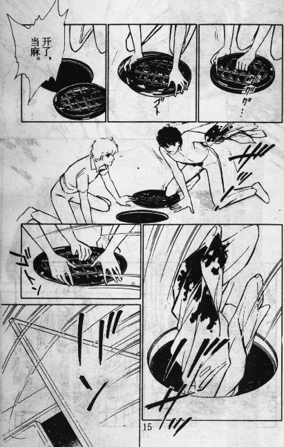 15.jpg