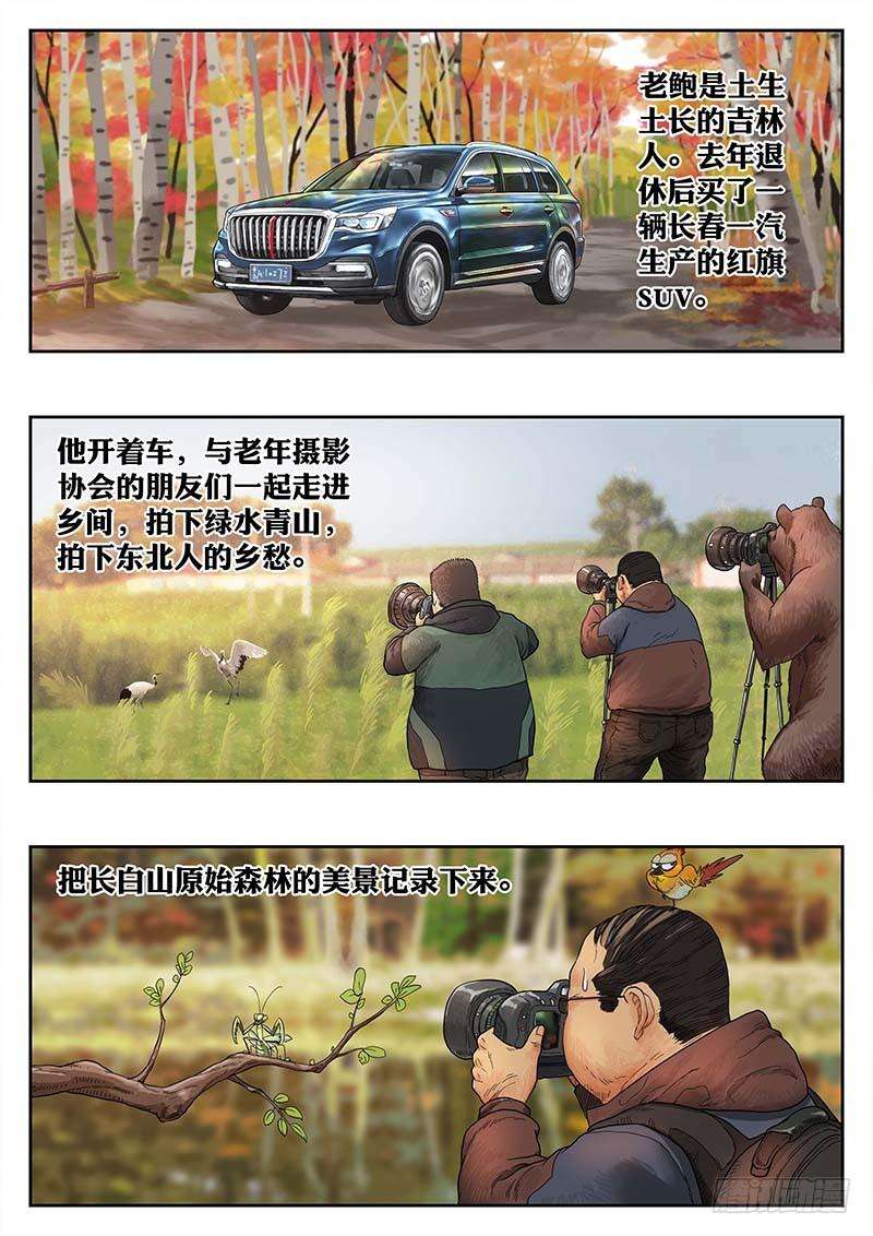 16.jpg