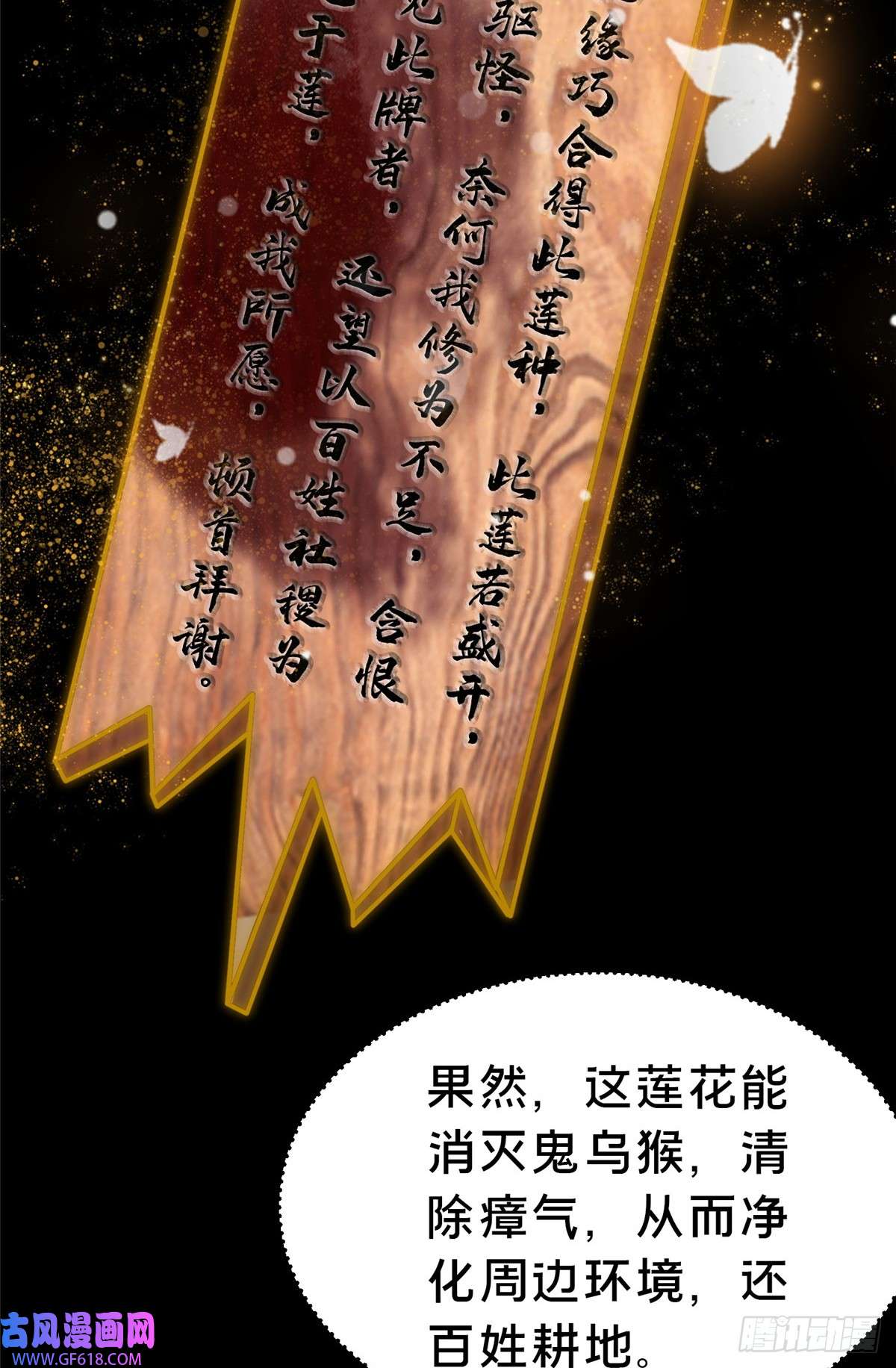 35.jpg