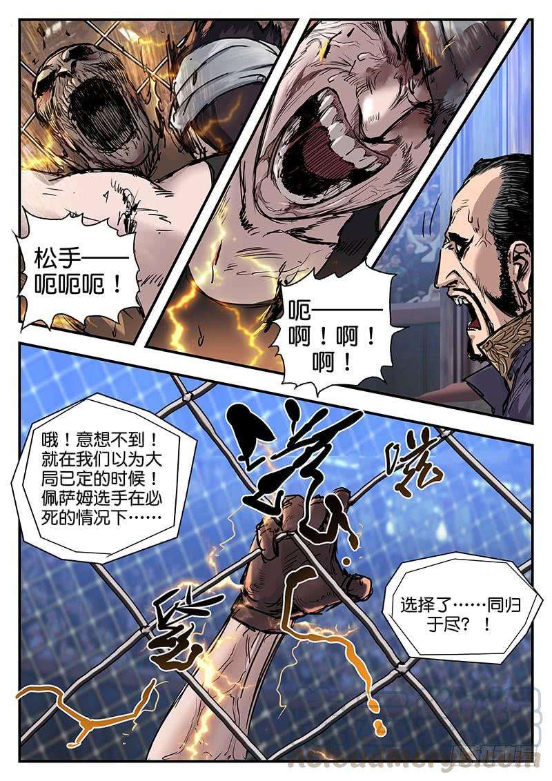 5.jpg