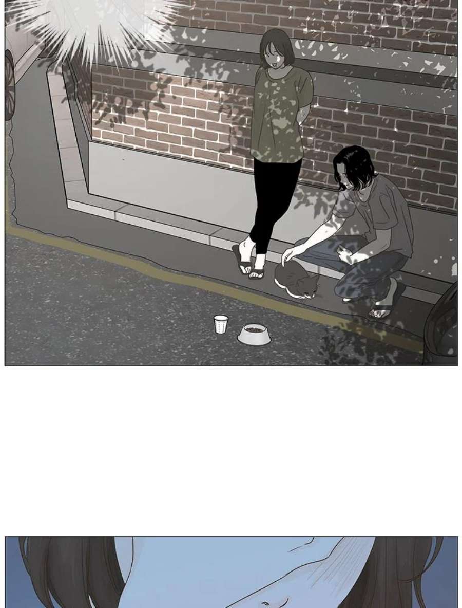 50.jpg
