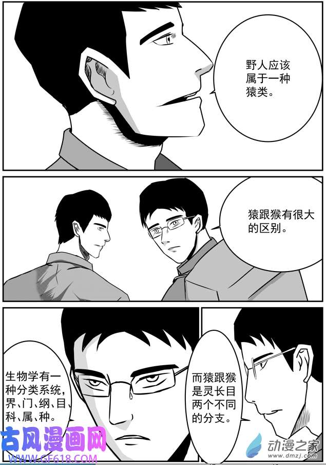 13.jpg