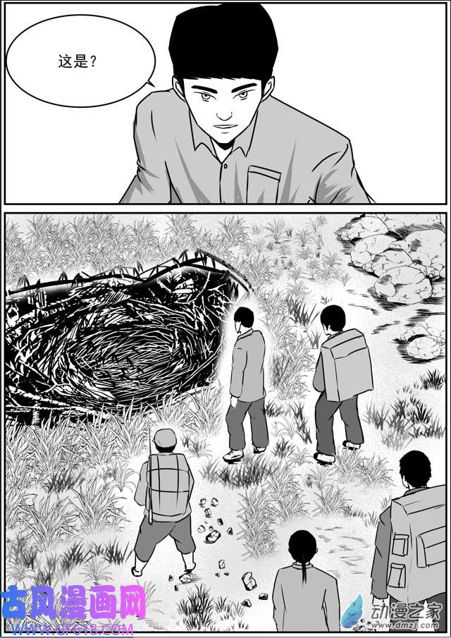 18.jpg