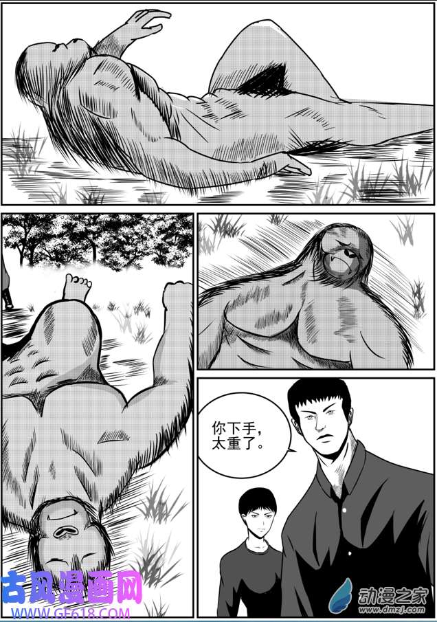11.jpg