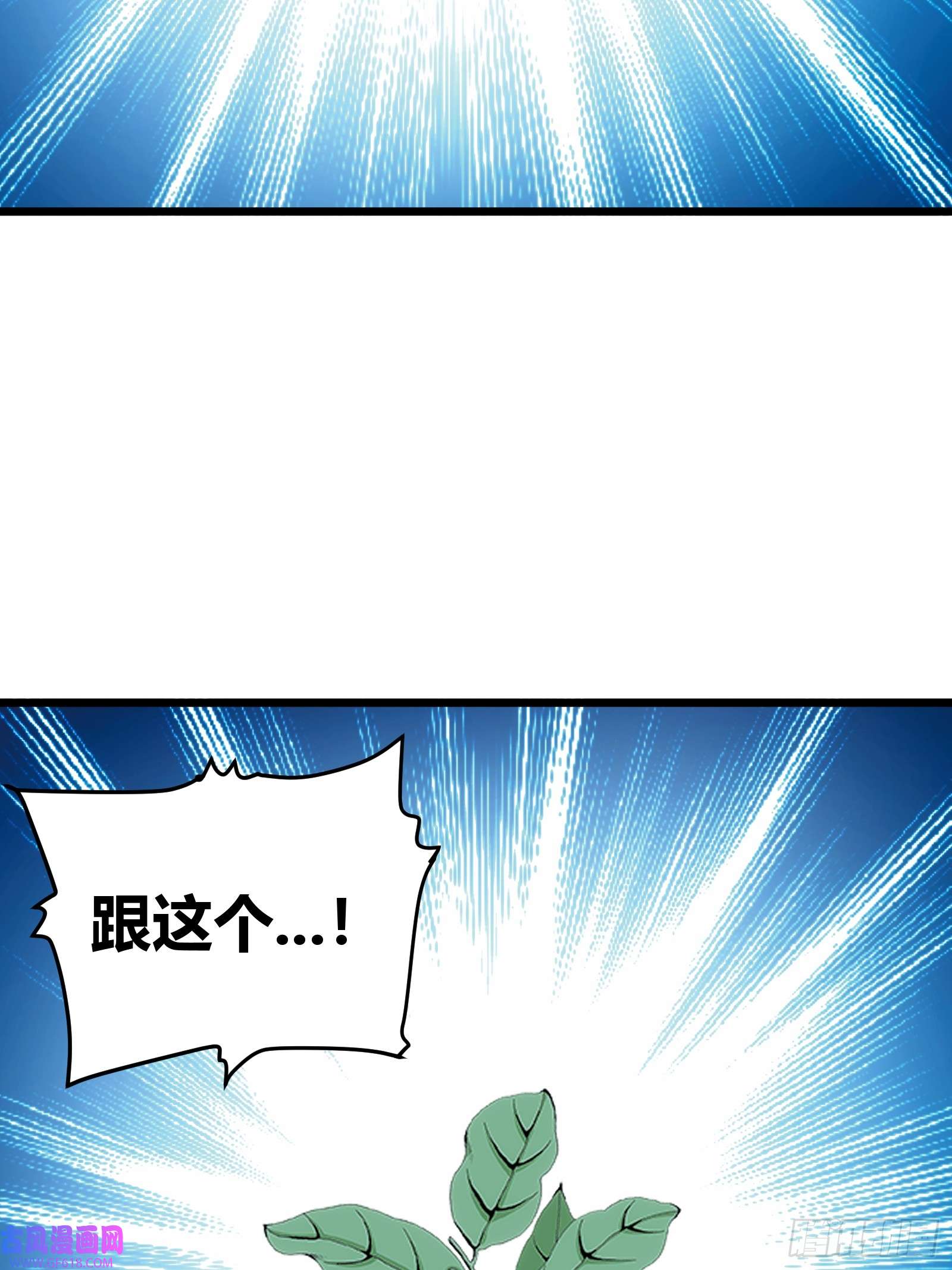 46.jpg
