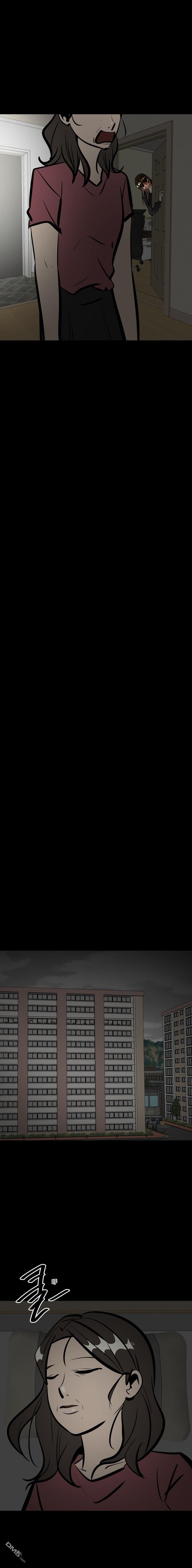 53.jpg