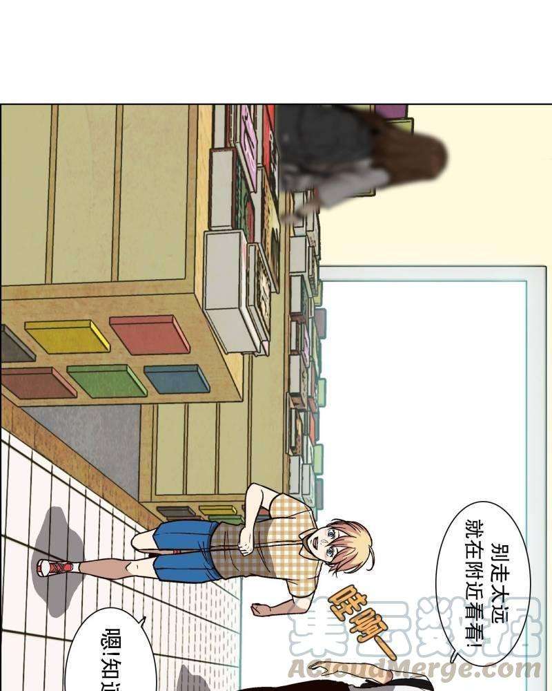 29.jpg