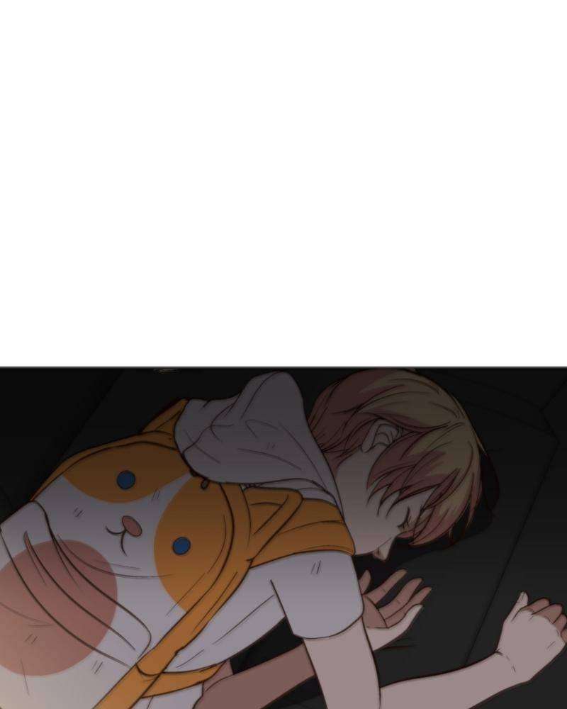 48.jpg