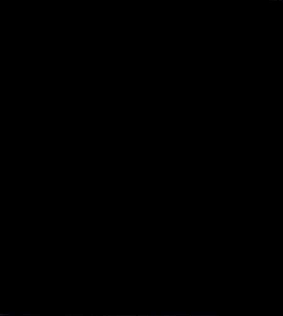 86.jpg