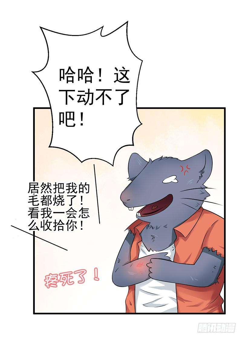 15.jpg