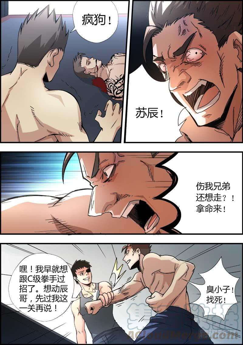 13.jpg