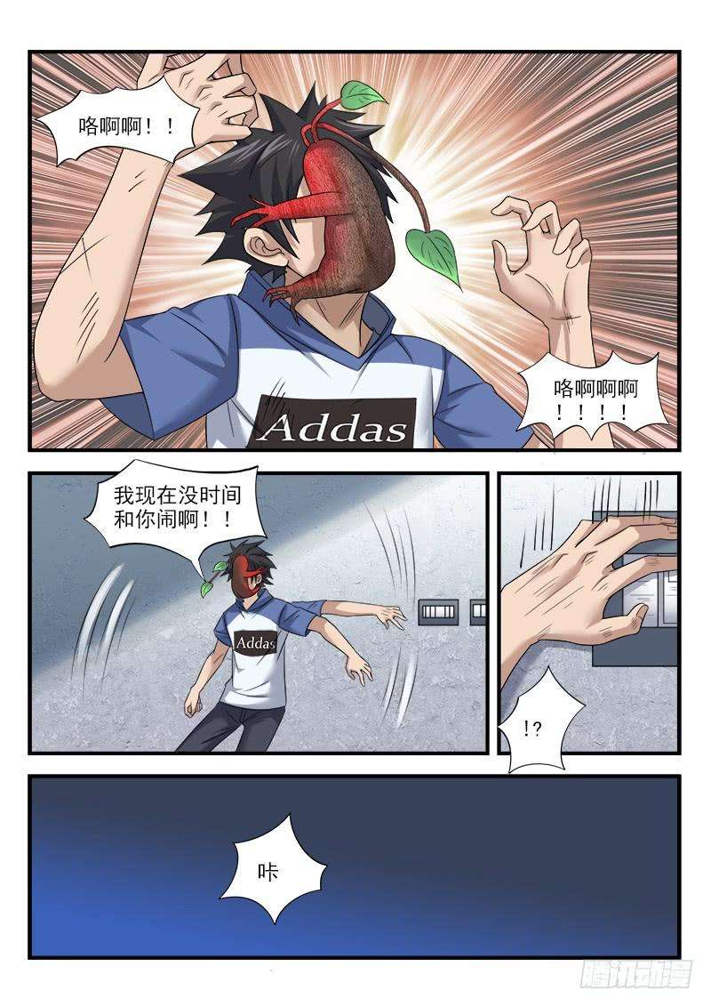 8.jpg