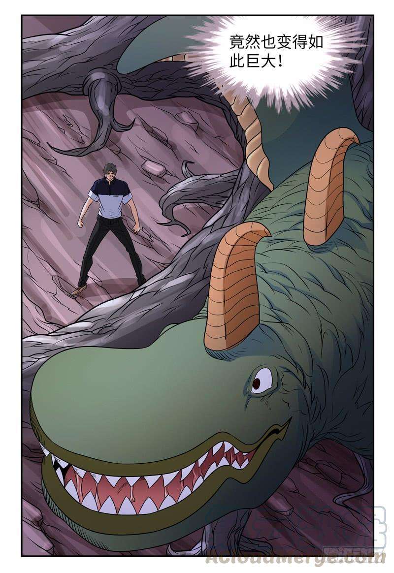 13.jpg