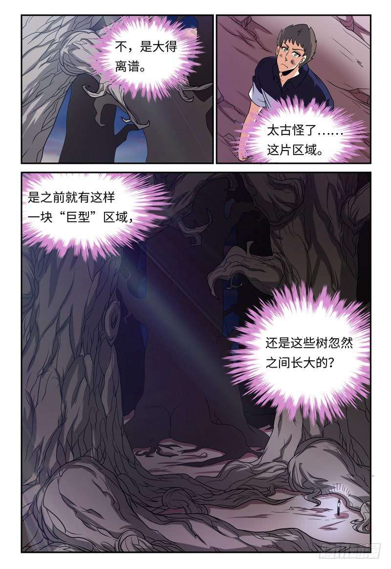11.jpg