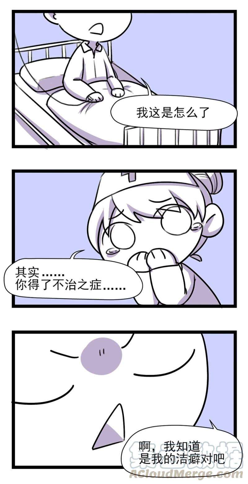 41.jpg