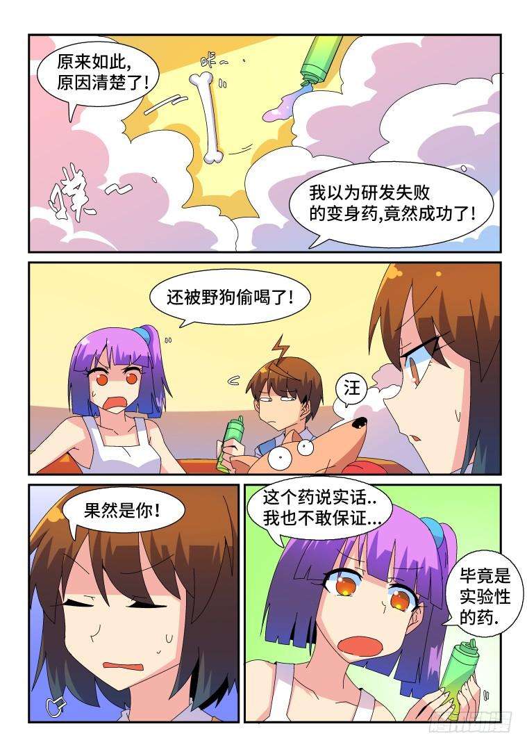 8.jpg