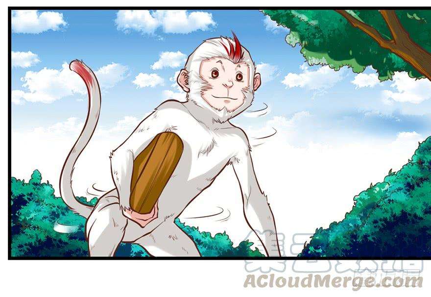 29.jpg