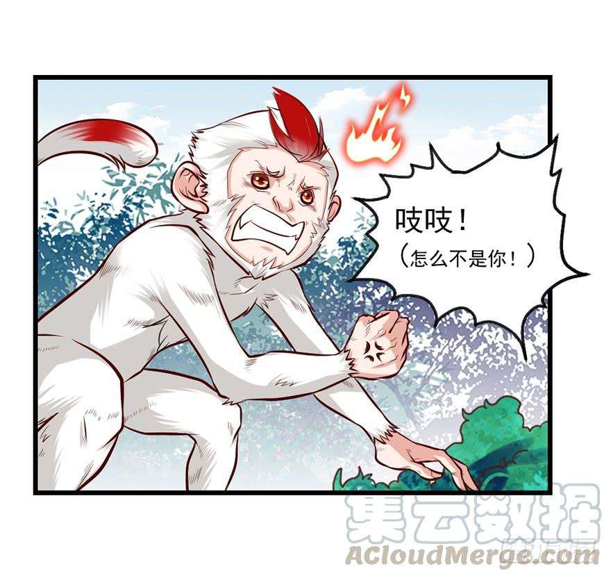 21.jpg