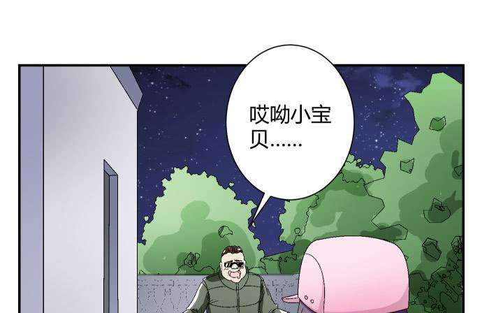 106.jpg