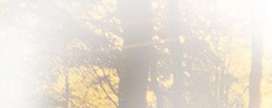 105.jpg