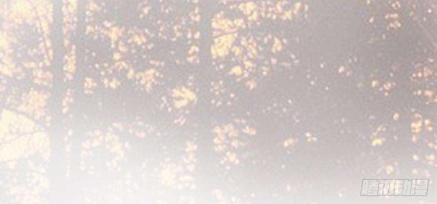 113.jpg