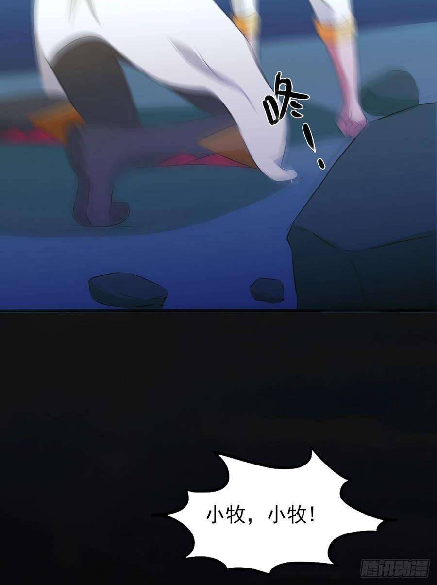 80.jpg