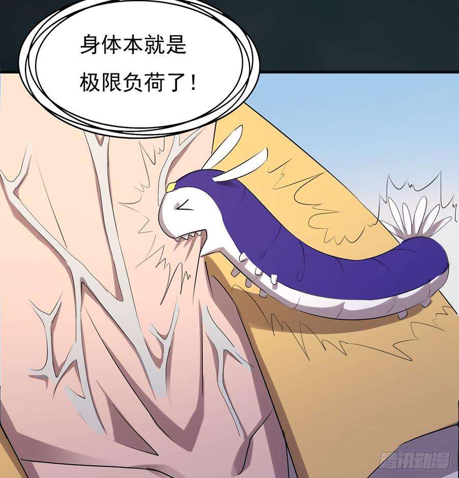 16.jpg