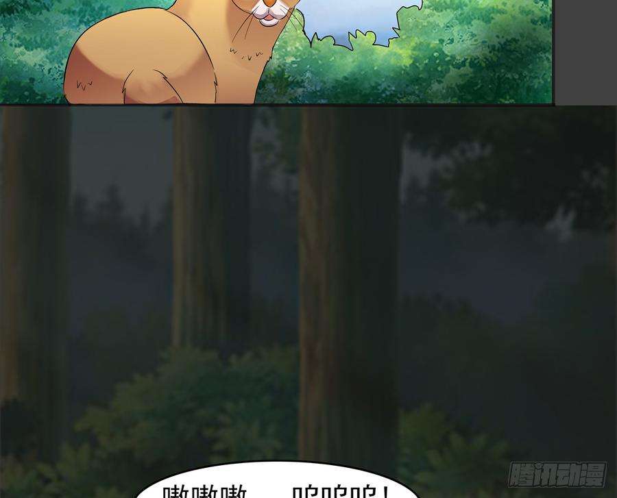 47.jpg