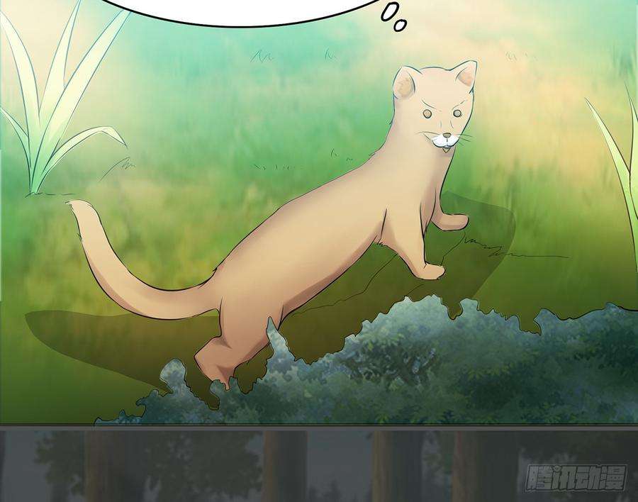 37.jpg