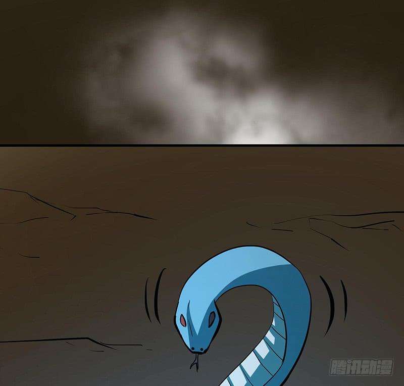 62.jpg
