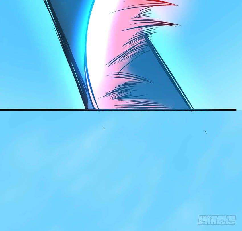 47.jpg