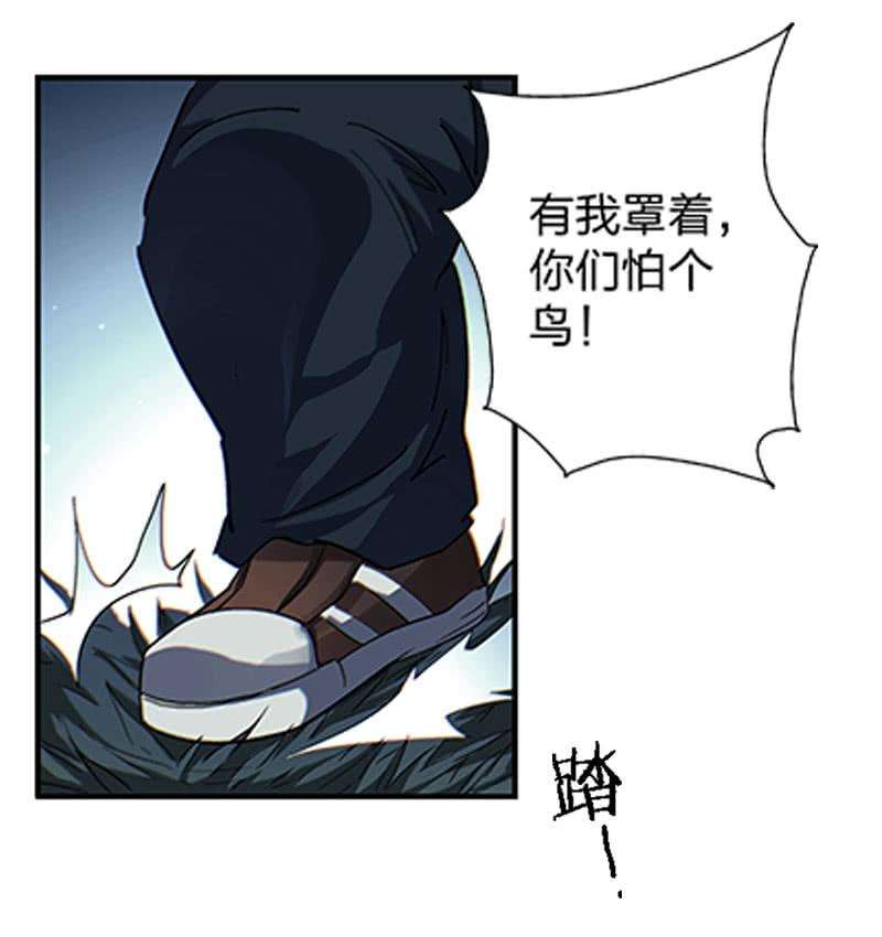 15.jpg