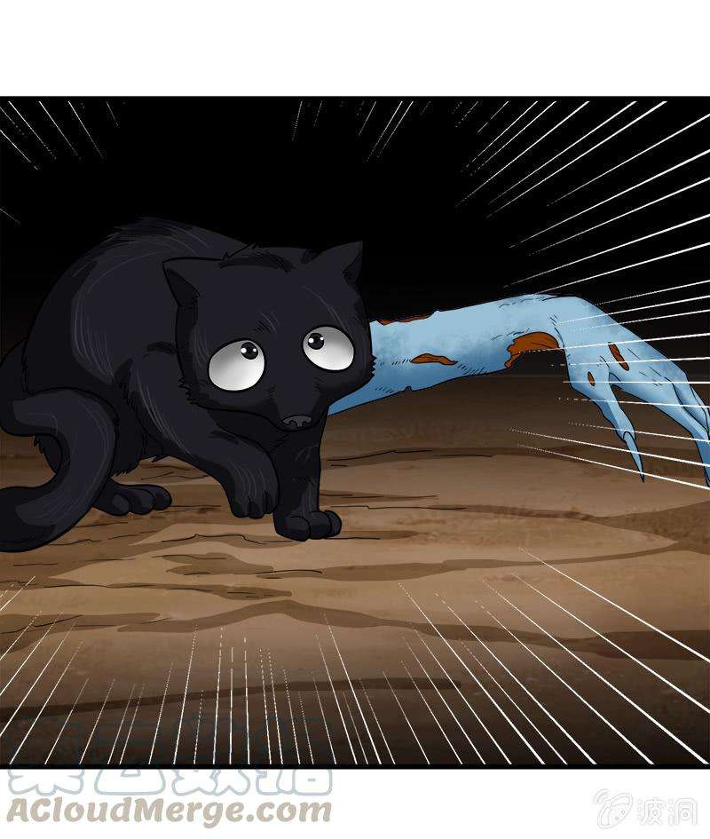 21.jpg