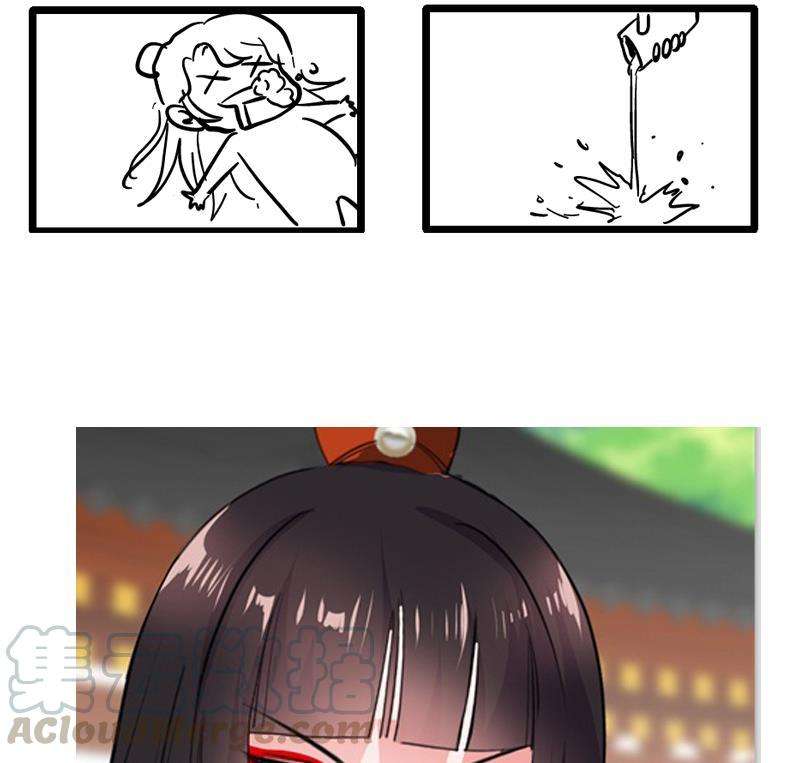 41.jpg