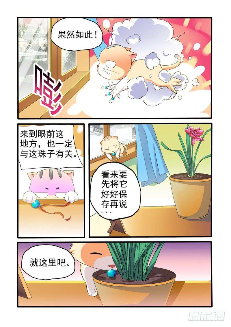 15.jpg