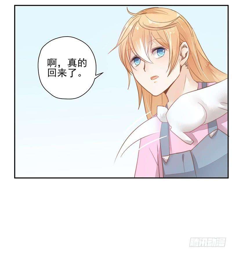 19.jpg